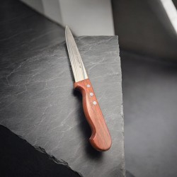 Couteau ERN 1037 de boucher 20 cm